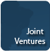 Joint Ventures