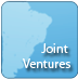 Joint Ventures